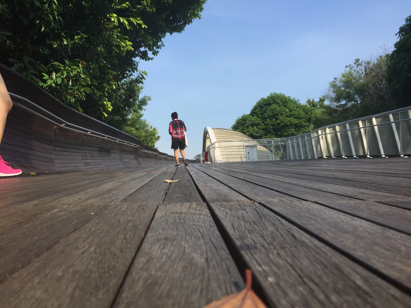 The Henderson Waves bridge, Singapore