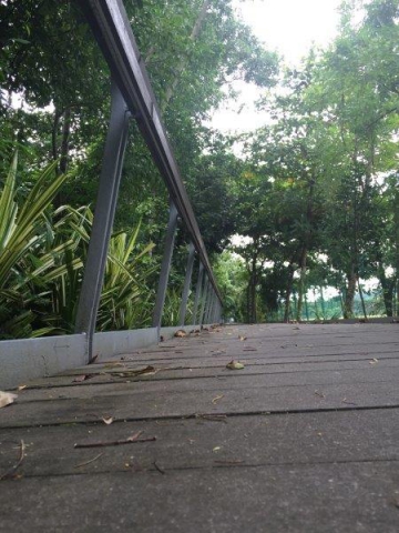 berlayer boardwalk low view