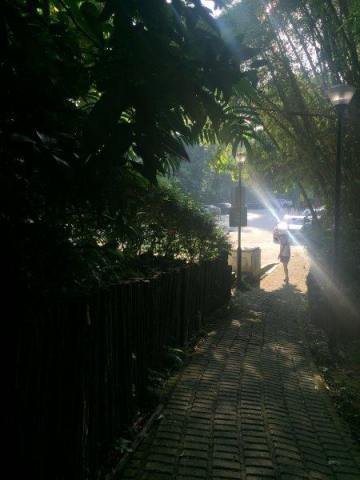 bukit batok nature park exit towards lorong sesuai