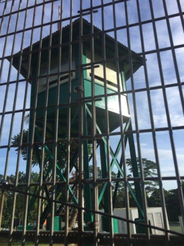 bukit batok nature park hill top green tower