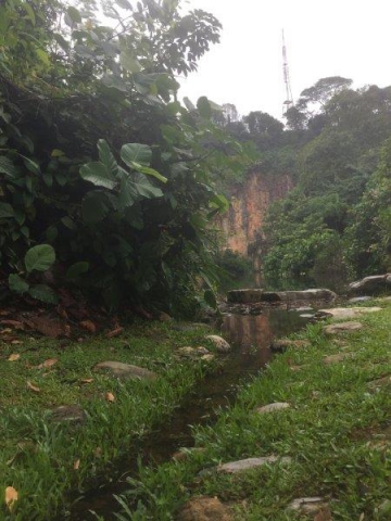 bukit batok nature park little stream towards pond