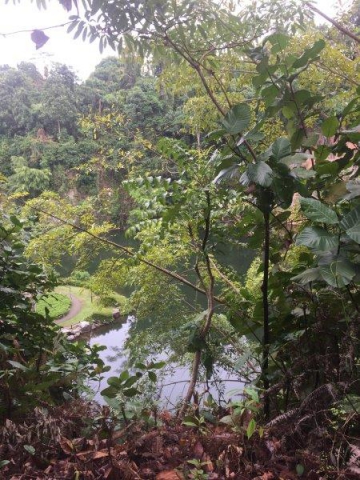 bukit batok nature park lookout point