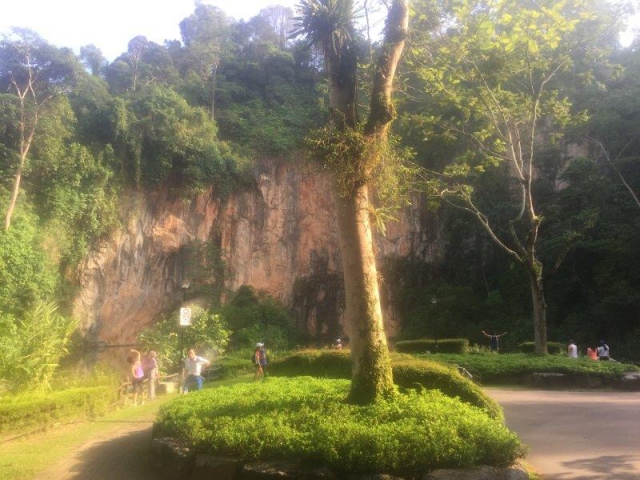 bukit batok nature park pond plaza