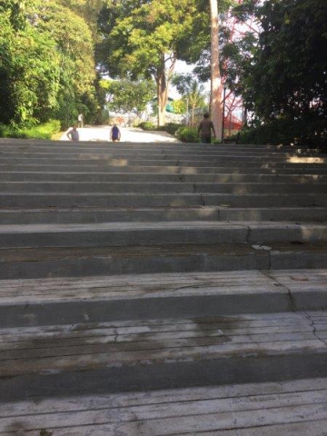 bukit batok nature park up hill top