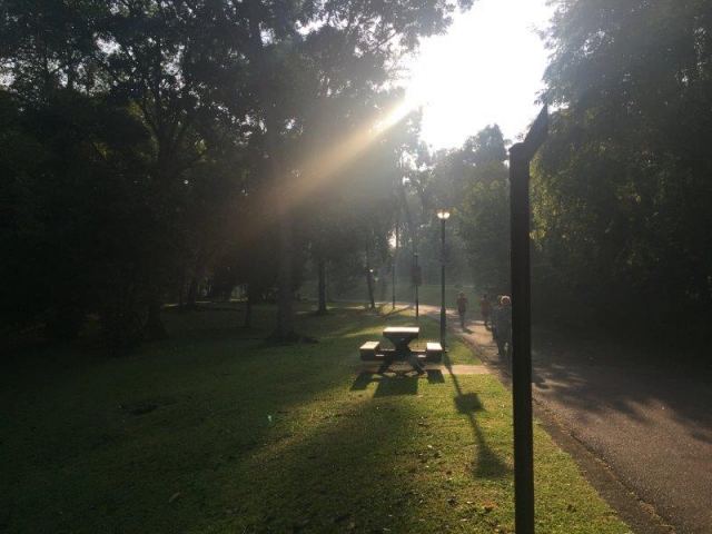 bukit batok nature park view from car park direction