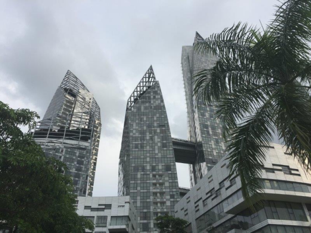 keppel bay reflections with trees