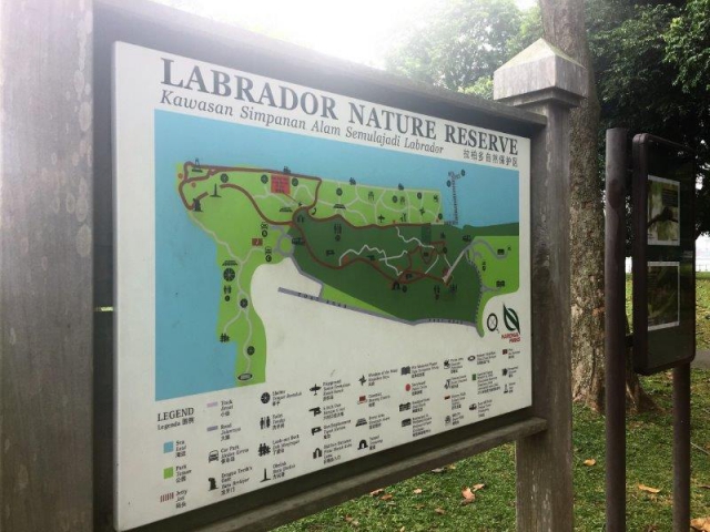 labrador park infographic