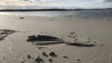 leaving-traces-around-the-world