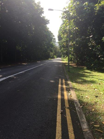 lorong sesuai going down slope