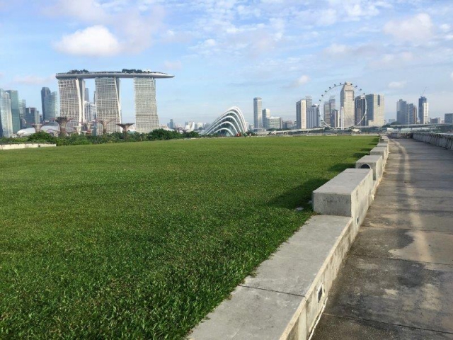 marina barrage rooftop viewing marina bay sands