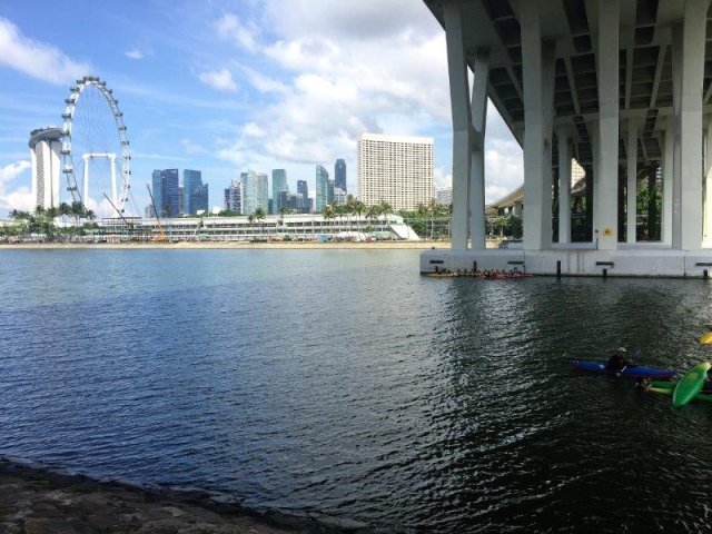 marina east kayak under sheares bridge