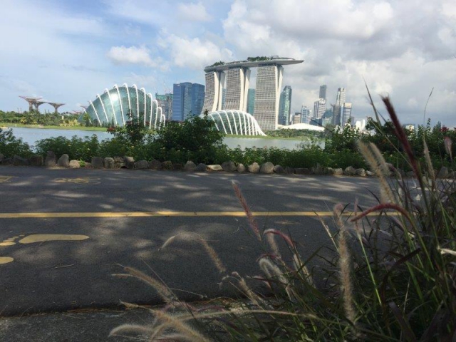 marina east run and cycle connector