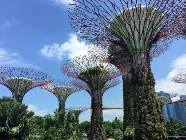marina gardens by the bay super trees
