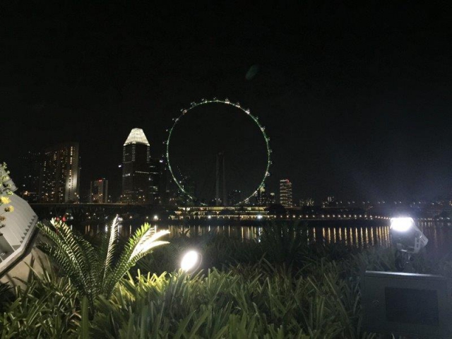 night at marina bay singapore flyer view from flower dome