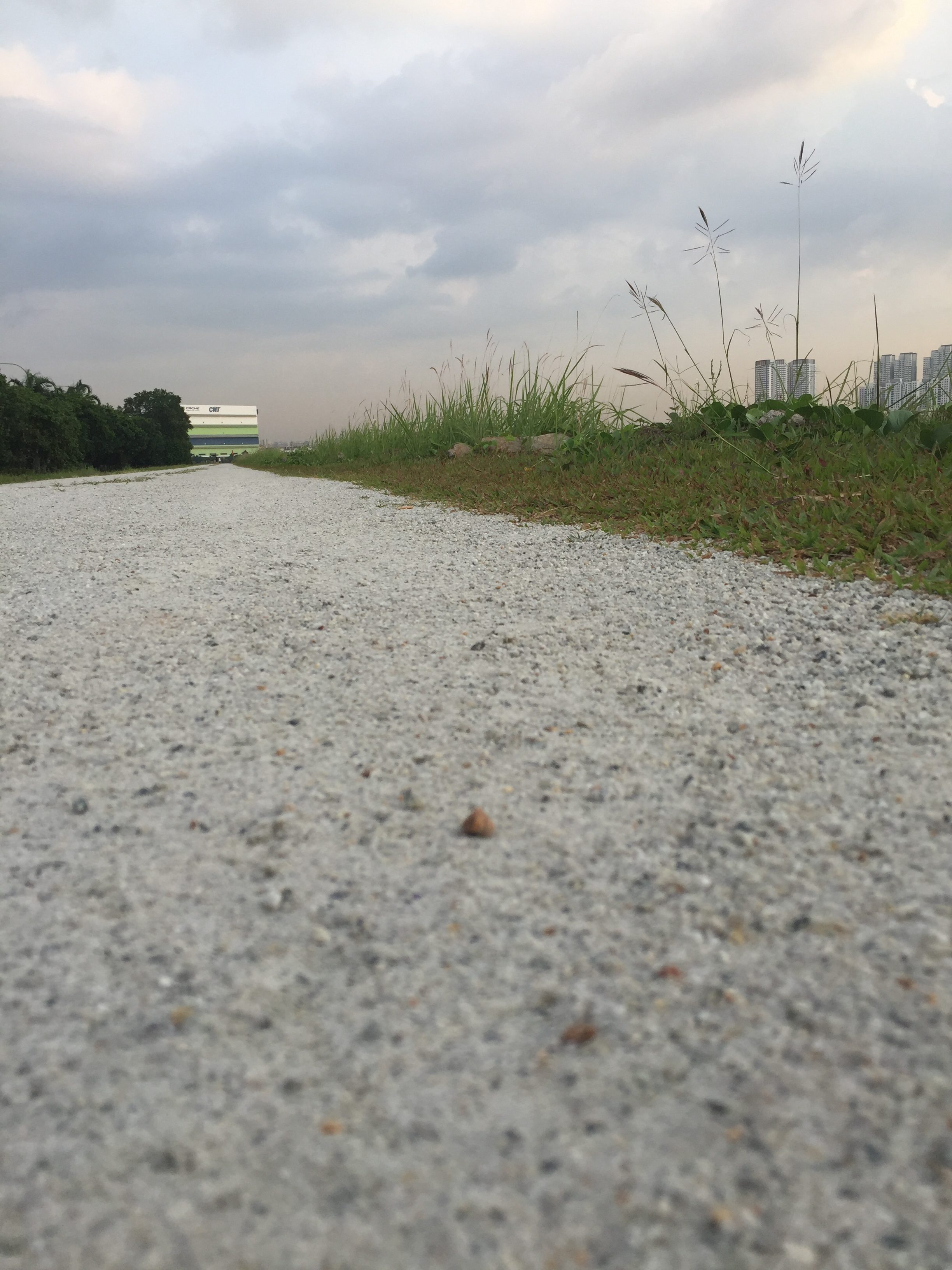 Flat, well maintained gravel path.